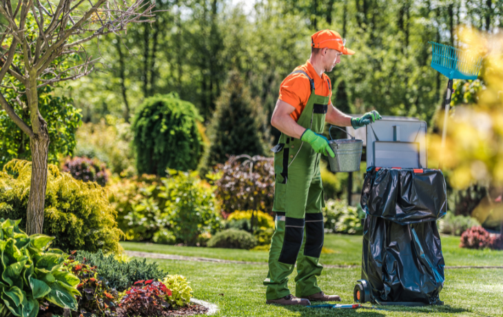 Yard Cleaning Services